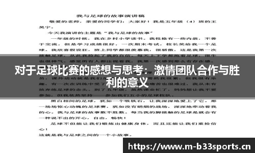 b33体育平台