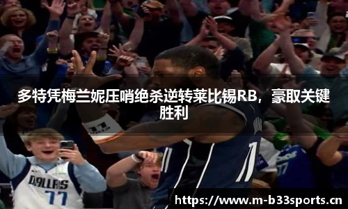b33体育