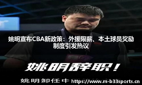 b33体育官网