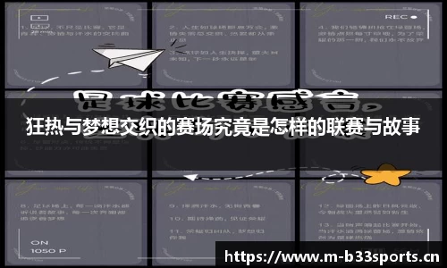 b33体育