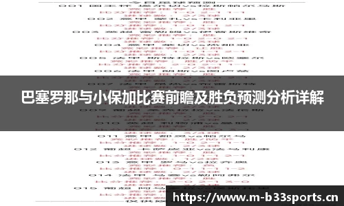 b33体育