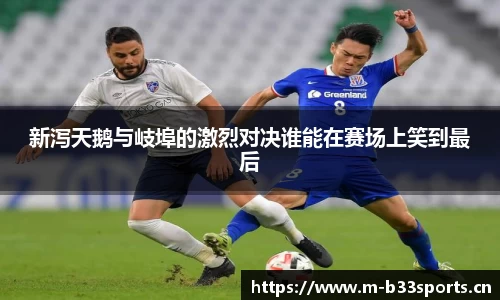 b33体育官方网站