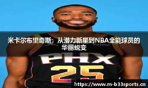 b33体育官网